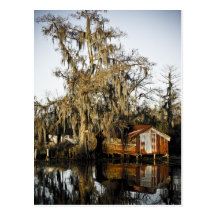 St Charles Parish Swamp Reflections Post Cards
