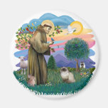 St Francis (ff) - Seal Point Himalayan cat Fridge Magnets