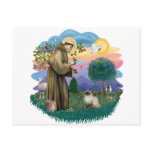 St Francis (ff) - Seal Point Himalayan cat Postcards