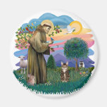 St francis (ff) - Tabby Tiger cat Fridge Magnet