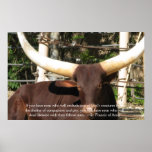 St. Francis of Assisi Quote about Animal Rights Poster