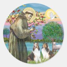 St Francis (W) - Two Shelties (D&L) Sticker