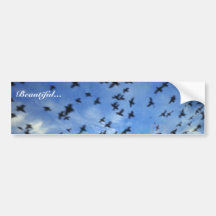 St. George Island, Pribilof Islands, Bering Sea Bumper Stickers
