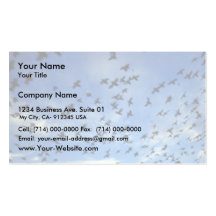 St. George Island, Pribilof Islands, Bering Sea Business Card Template