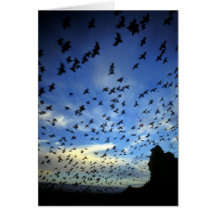 St. George Island, Pribilof Islands, Bering Sea Greeting Card