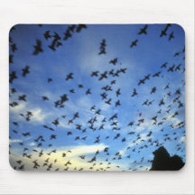 St. George Island, Pribilof Islands, Bering Sea Mouse Pads