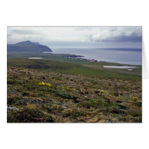 St. George Island, Pribilofs 1987 Greeting Card