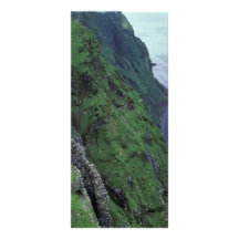 St. George Island, Pribilofs, High Bluffs Personalized Rack Card