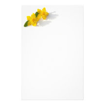 St. John's Wort (Klamath Weed) Stationery Design