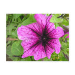 St-Joseph violet Post Card