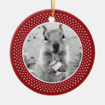 St. Louis Rally Squirrel Christmas Ornament