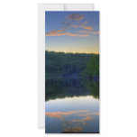 St. Louis River Reflection Custom Rack Card