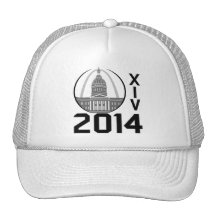 St. Louis WUSTL Class of 2014 Logo Hat