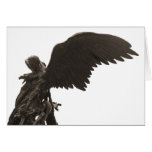 St. Michael Cards