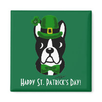 St. Patrick's Day Boston Terrier 1