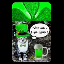 ST PATRICK'S  DAY CAT  WITH GREEN IRISH BEER magnets