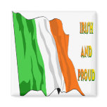 St Patrick's Day Irish Flag magnets