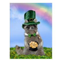 St Patrick's Day - Lucky Raccoon Post Cards