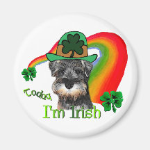 St. Patricks Day Mini Schnauzer Refrigerator Magnets