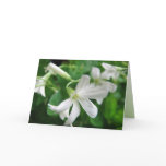 St. Patrick's Day Shamrock Flowers Card