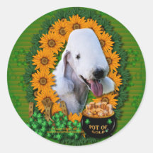 St Patricks - Pot of Gold - Bedlington Terrier Sticker