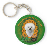 St Patricks - Pot of Gold - Bichon Frise keychains