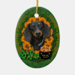 St Patricks - Pot of Gold - Dachshund - Winston Christmas Tree Ornament