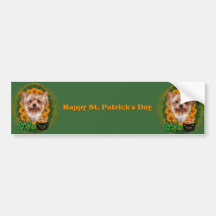 St Patricks - Pot of Gold - Yorkshire Terrier Bumper Sticker