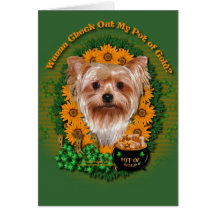 St Patricks - Pot of Gold - Yorkshire Terrier Greeting Card