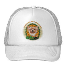 St Patricks - Pot of Gold - Yorkshire Terrier Mesh Hats