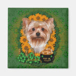 St Patricks - Pot of Gold - Yorkshire Terrier Magnet