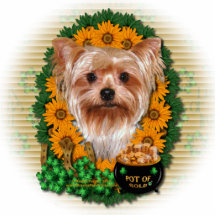 St Patricks - Pot of Gold - Yorkshire Terrier Photo Cut Outs