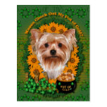 St Patricks - Pot of Gold - Yorkshire Terrier Postcard