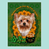 St Patricks - Pot of Gold - Yorkshire Terrier postcards
