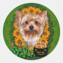 St Patricks - Pot of Gold - Yorkshire Terrier Round Stickers