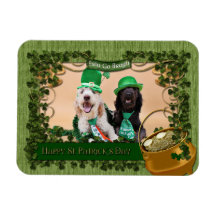 St Pats Day - GoldenDoodles - Sadie and Izzie Rectangle Magnets