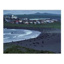 St. Paul and Zolotoi Beach, Pribilofs Postcards