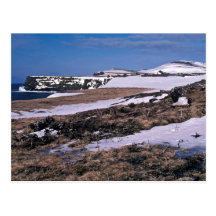 St. Paul Island Bird cliffs, Southwest Point Postcards