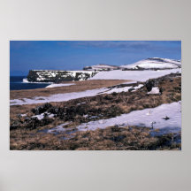 St. Paul Island Bird cliffs, Southwest Point Posters