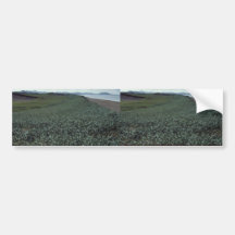St. Paul Island, Sand dune habitat Pribilof Island Bumper Sticker