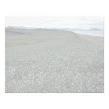 St. Paul Island, Sand dune habitat Pribilof Island Custom Invites
