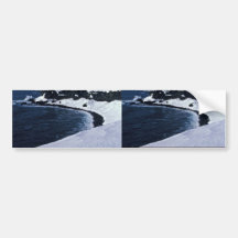 St. Paul seabird cliffs, Bering Sea Bumper Sticker