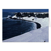 St. Paul seabird cliffs, Bering Sea Card