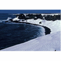 St. Paul seabird cliffs, Bering Sea Photo Sculpture