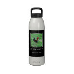 St Thomas VI - Coq ! Bouteille D'eau Réutilisable