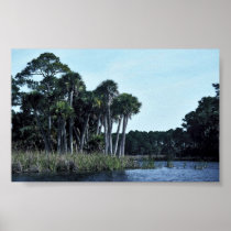 St. Vincent National Wildlife Refuge Freshwater La Poster