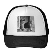 Stable mates trucker hat