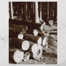 Stacked logs flyer design