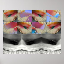 Stacked Shells Poster