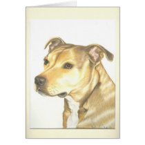 Staffordshire Bull Terrier Card